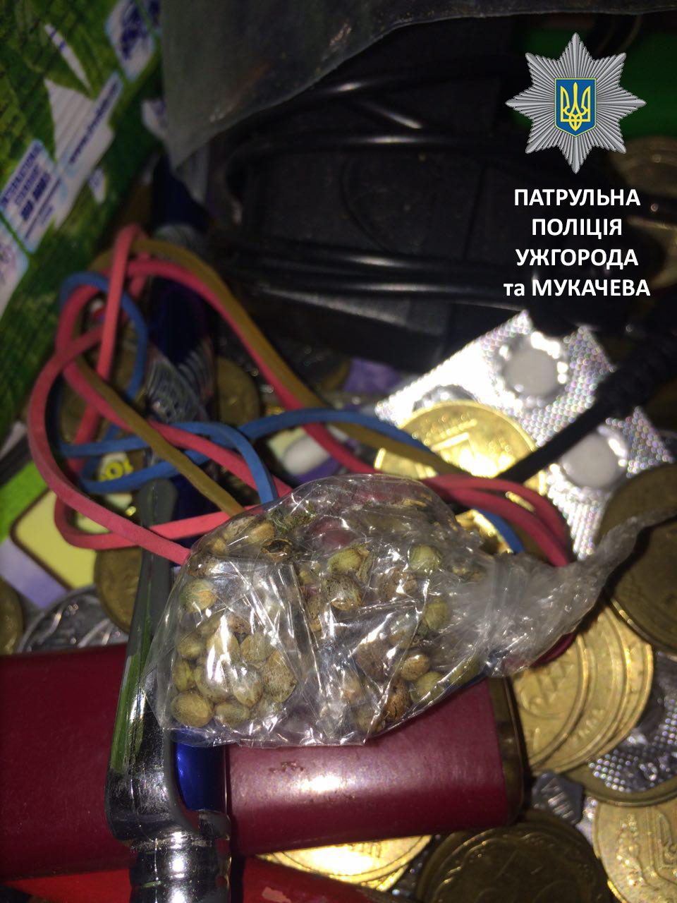 photo_2016-12-05_09-22-58