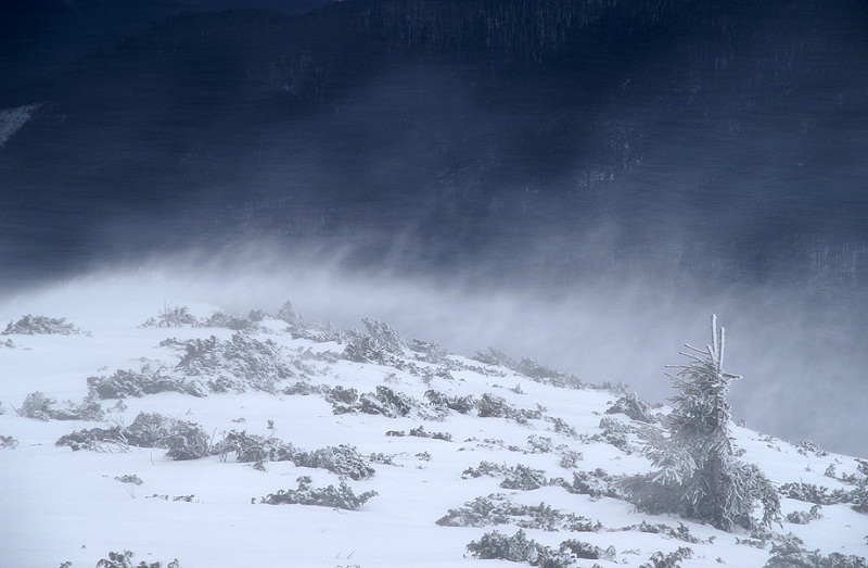 Igor-Melika-wind-2