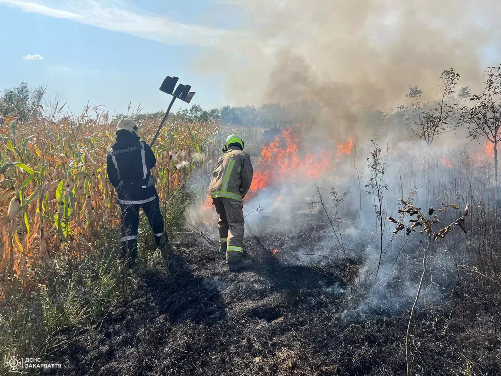 Боротьба закарпатських рятувальників з пожежами у екосистемах триває