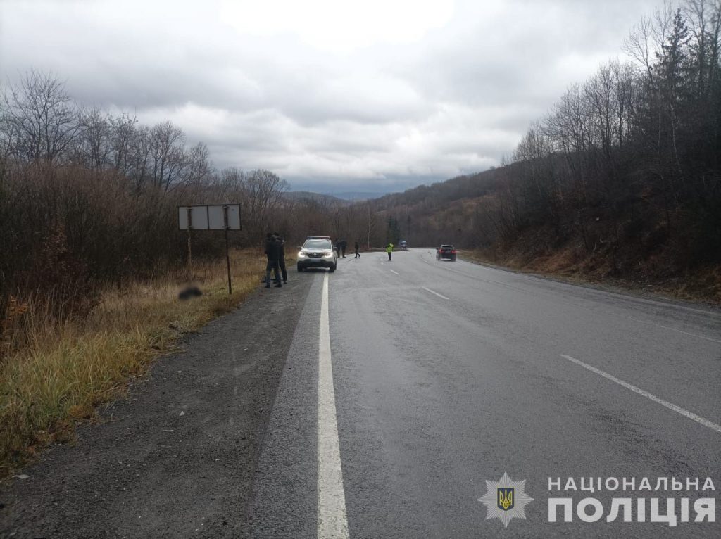 Поліція Закарпаття розшукала зловмисника, який скоїв смертельну ДТП та втік за межі області