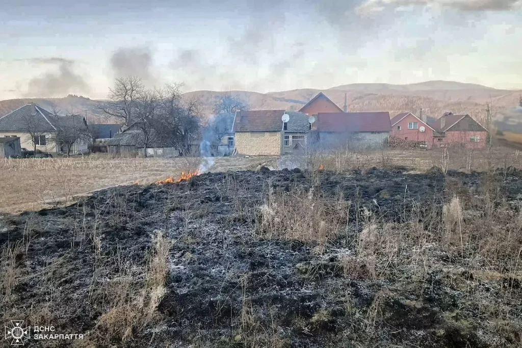 На Закарпатті продовжують горіти суха трава та чагарники