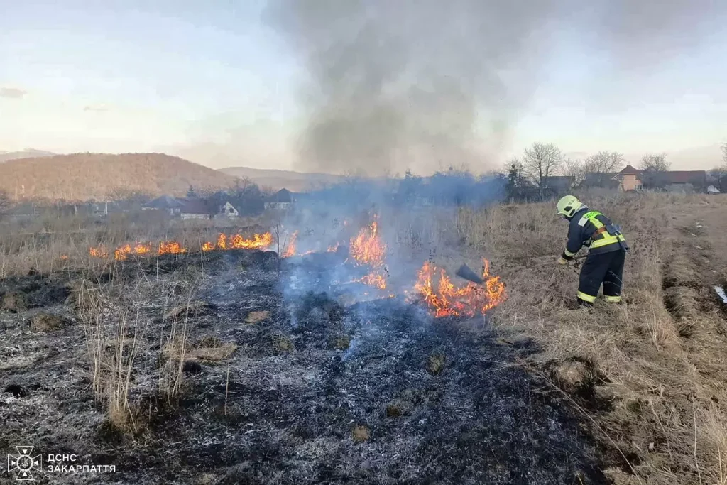 На Закарпатті продовжують горіти суха трава та чагарники