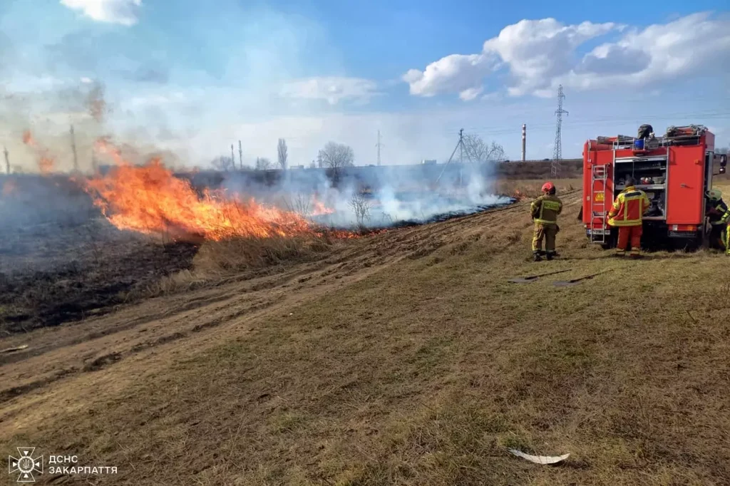 На Закарпатті продовжують горіти суха трава та чагарники