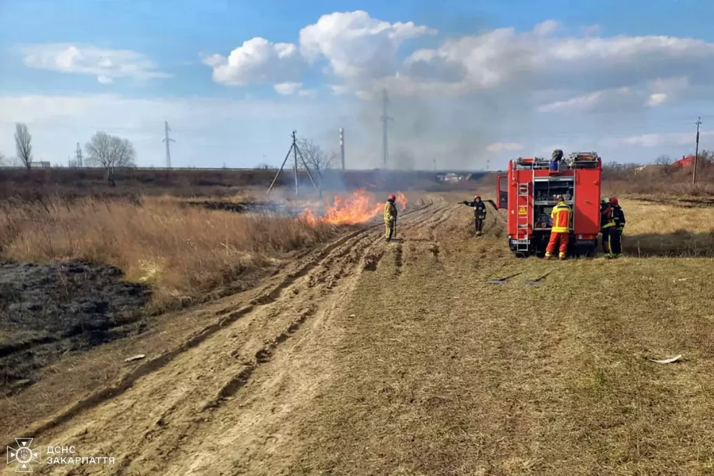 На Закарпатті продовжують горіти суха трава та чагарники