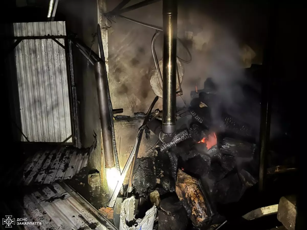 На Мукачівщині рятувальники ліквідували пожежу в гаражі та запобігли перекиданню вогню на житловий будинок